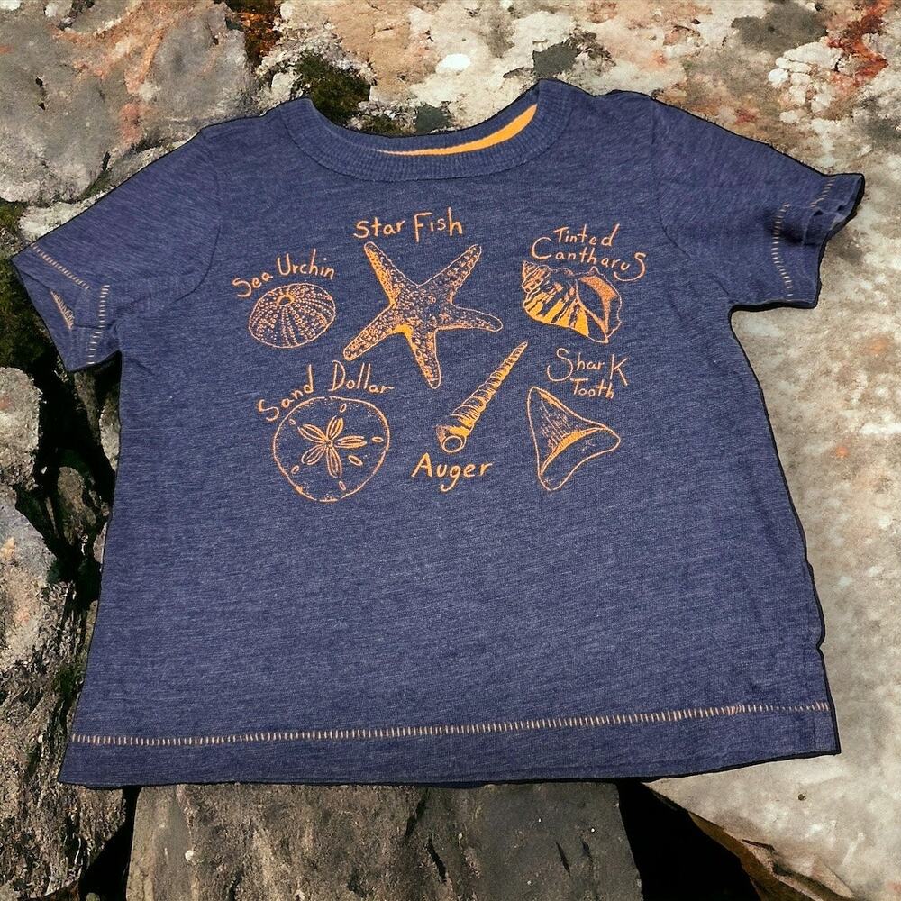 Cherokee Boys Tee Sz‎ 2T Heather Blue Salmon Seashells Sea Urchin Sand Dollar